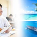 仕事を辞めて3か月セブ島留学した体験談とジンベイザメツアーの思い出
